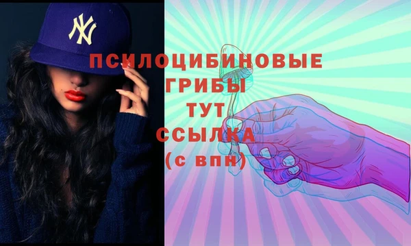 бутират Бронницы