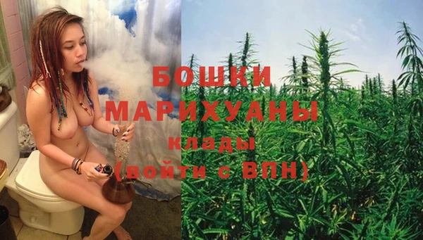 хмурый Снежногорск